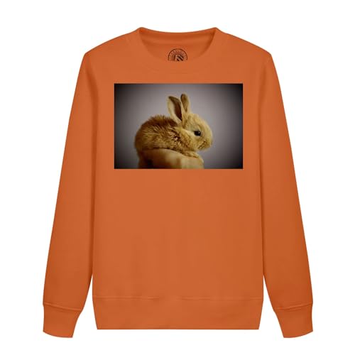 Sweatshirt enfant lapin nain vêtement beige motif animal de compagnie