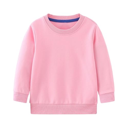 Girls Sweatshirts Crewneck Long Sleeve Oversized Shirts Kids Casual Side Split Fashion Fall Cute Pullover Clothes2