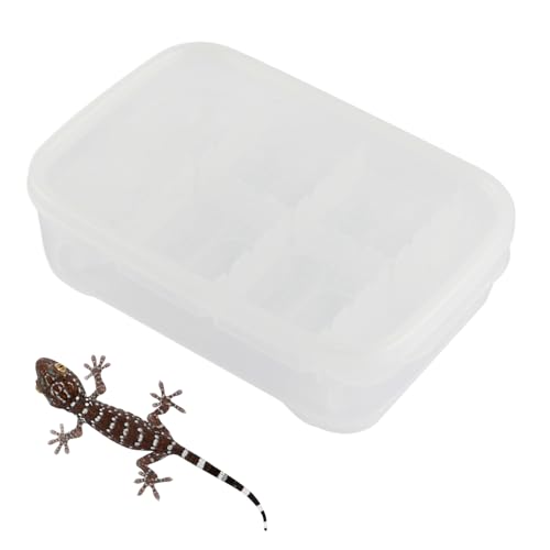 Incubadora de reptiles, jaula de cría de de 14 rejillas, caja de cría transparente, hábitat de reptiles para interiores y exteriores, hogar, transporte, escorpión, araña, mujeres, hombres