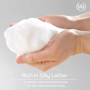 Muse Apothecary Hand Ritual Aromatic and Nourishing Foaming Hand Soap Infused with Natural Aromatherapy Essential Oils USDA Certified Biobased 115 oz Aloe Eucalyptus Lavender 2 Pack