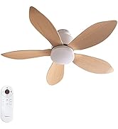 Amazon.co.jp: VENTOTA シーリングファンライト 調光調色 LED天井