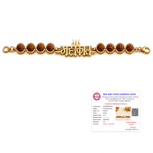 Image of Natural Rudraksha Beaded Bracelet for Men & Women | Spiritual Prosperity & Positive Energy Accessory