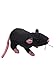 Onwomania Peluche Peluche Animal Rat Souris Noir Rongeur 31 cm