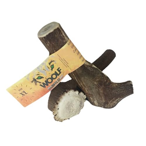 Woolf Wild Asta de Ciervo Talla XL - Mordedor Natural para Perros Grandes