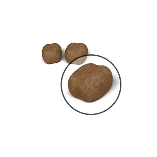 Royal Canin Dental Care Adult Dry Cat Food 2 x 400g - Image 4