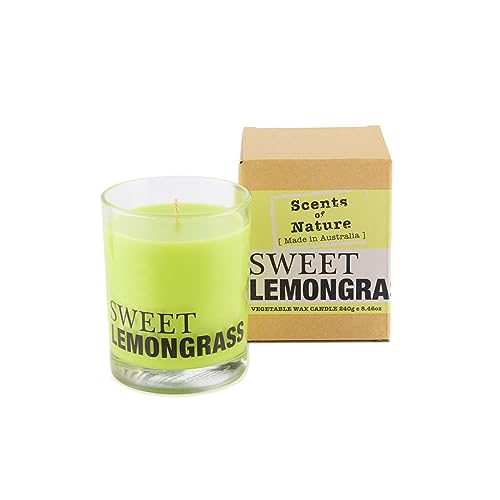 Tilley Scents of Nature Sweet Lemongrass Soy Candle 240 g
