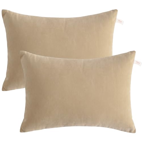 BEDSUM 2-Pack 13"x18" Microfiber Travel & Comfort Pillows