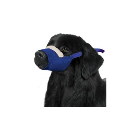 quick muzzle for dogs