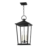 Troy Lighting F8911-TBK Soren...