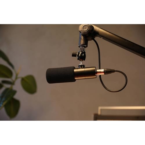Earthworks ETHOS microphone de diffusion éliminer les bruits de pièce - 5