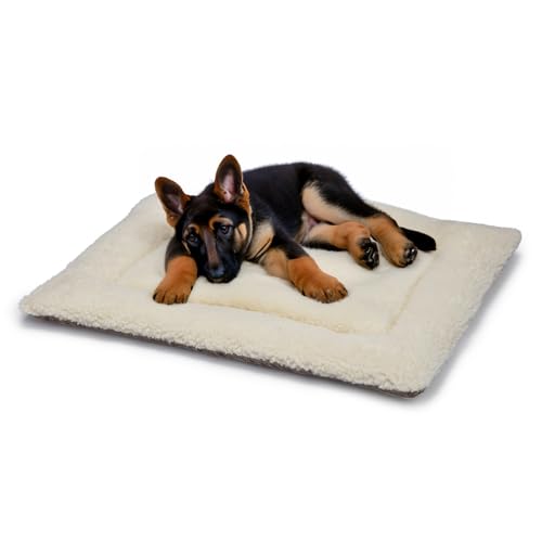 British Wool Dog Bed for Dogs - Machine Washable Quilted Cage Pad with Tweed Base, Luxurious Medium Dog Bed (91x60cm) - Made in England