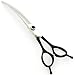 Ciseaux pour animaux de compagnie Ciseaux de toilettage for animaux Teddy Dog Cisaillement Coiffure Fournitures Esthéticienne Couleur Petits Outils de Cintrage, 6 " Outils de toilettage pour animaux d