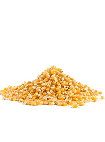 Image of Bob's Red Mill Yellow Popcorn, 30oz (Pack of 4) - Non GMO, Whole Grain, Vegan, Kosher