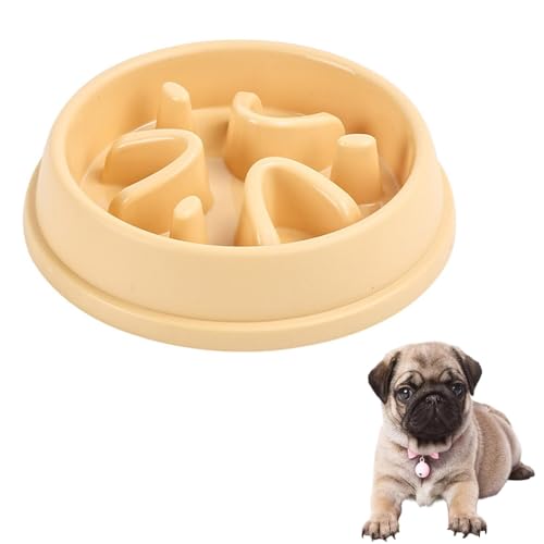 Lifetips pOiPugj ybgpX[t[h{E Lp Hh~  Փx ~ 􂢂₷ NǗ 킢fUC iA^Cv N[CG[j