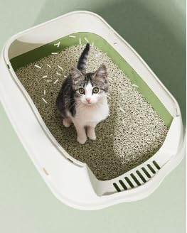 Large Covered Litter Box With Lid - Fully Enclosed Cat Toilet Pan and Scoop