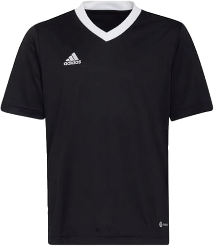 Miniatura 7 de adidas Camiseta Entrada 22 para Niños