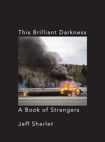 This Brilliant Darkness view 2