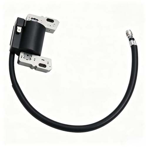 Bobine d'allumage pour résoudre les problèmes de démarrage 492341