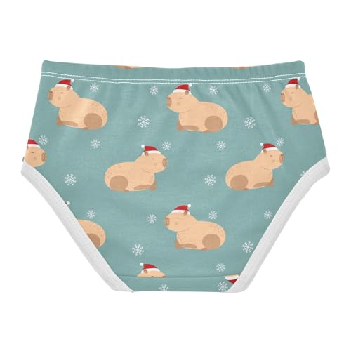 Wusikd Capybara Red Hat Girls' Underwear Cotton Snowflakes Girls Briefs Soft Toddler Underwear 5T2