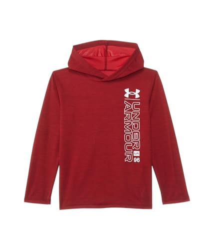 Under Armour Boys' Wordmark Twist Mesh Hoodie (Little Kids)