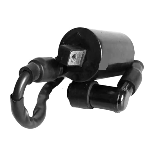 Bobine d'allumage contre démarrage difficile Ninja 250r EX250