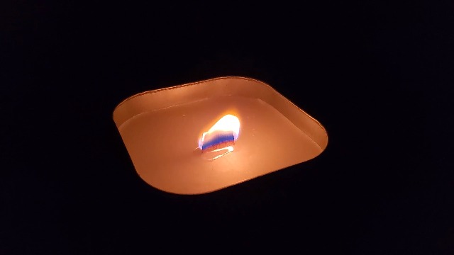 Pine Scented Citronella Candle with Wooden Crackle Wick