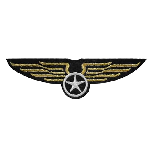 Écusson Ailes Dorées Étoile Patch Armée de l'Air US Army 3,2x11,7cm