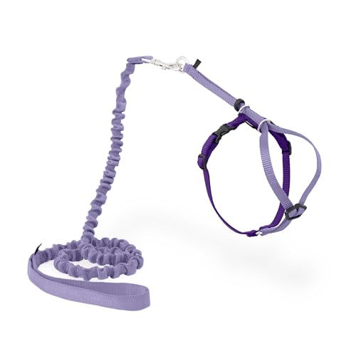 PetSafe Come With Me Kitty Harness and Bungee Cat Leash, Medium, Lilac