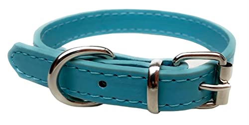 Lebendiges Leder Hundehalsband & Leine Set für Welpen, Hunde Klein, Mittel & Groß (X-Klein (20cm - 26cm Hals), Türkis)