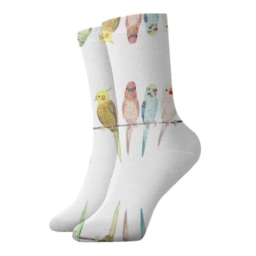 Zcmkjlg Calcetines gruesos y cómodos con estampado de loros coloridos en el árbol, calcetines casuales para hombres y mujeres, uso diario en casa
