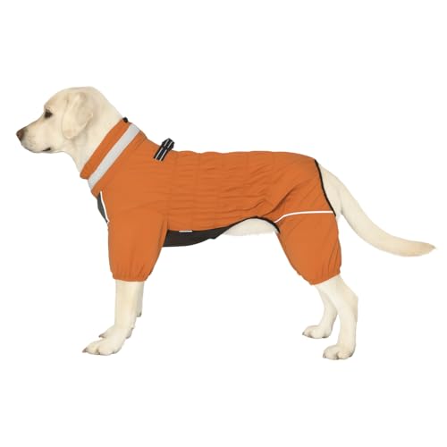 ~phpXm[X[c ? [VOtt{fBAEghAWPbgAt[XCjOAh4rhbOR[g ^^p}X^[hCG[ 3XL