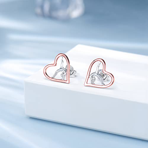Gymnastics Gifts For Girls Gymnast Stud Earrings 925 Sterling Silver Team Usa Gymnastics Girl Fashion Jewelry Sport Ballerina For Girl Birthday Christmas Gifts (Rose Gold) #TOP3
