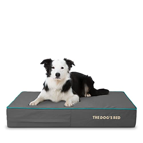 The Dog's Bed Orthopädisches Hundebett, groß, mit blauer Paspelierung, 101 x 64 x 15 cm, wasserdichtes Memory-Schaum-Hundebett Cover
