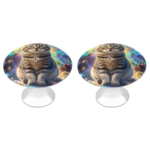 BTCOWZRV Cat Sitting Inside Nebula Cabinet Pulls...
