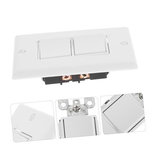 Interruptor de Luz Doble de 10A con placa de cubierta clara de hierro y ABS 5