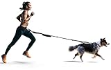 FITLY Dog Running Waist Belt - Running Dog Lead - Canicross Harness Carry Personal Items Running, Walks, Hikes - Waist Leads for Dogs with Belt Pouch, Converts into Canicrossing Line - Zesty Pink