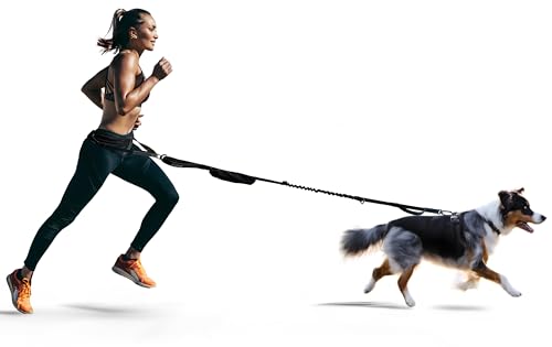 FITLY Dog Running Waist Belt - Running Dog Lead - Canicross Harness Carry Personal Items Running, Walks, Hikes - Waist Leads for Dogs with Belt Pouch, Converts into Canicrossing Line - Zesty Pink