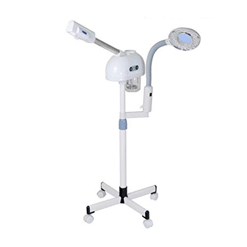 Mymgg 2 En 1 Lupa De La Luz Fría Rociador Caliente De La Cara del Dispositivo Que Cuece Al Vapor Piel Refresca La Máquina De La Cosmetología del Vapor De La Niebla