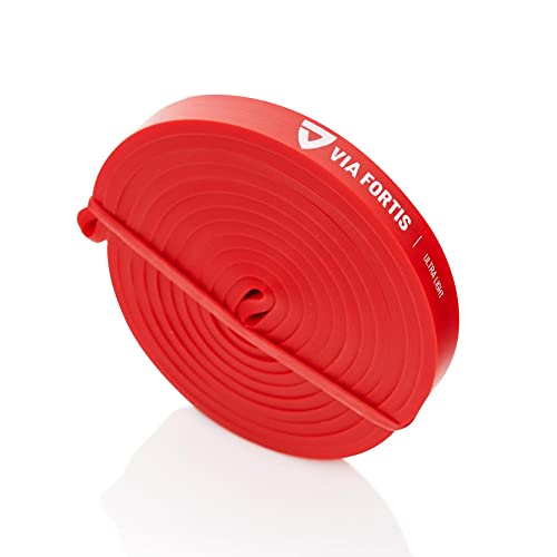 VIA FORTIS Fasce di Resistenza di Qualità + Guida agli Esercizi e Custodia - Fasce di Resistenza/Fasce di Trazione e Ausilio Alla Trazione/Fasce Fitness/Fasce per Allenamento e Power Training Cover