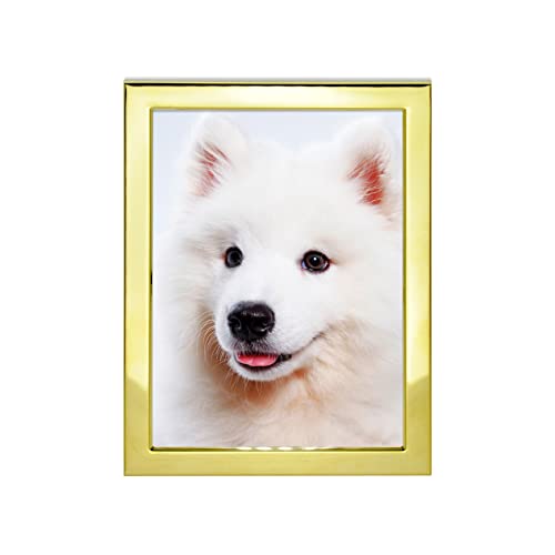 3.5x5 Picture Frames Gold Metal Photo Frames for Tabletop Display and Wall Decoration-Best Gifts for Family Gold 3.5x5