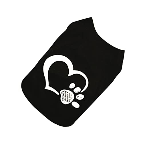 COMPUKAS tČybg n[gՃfUC̉KhbOxXg ubN ʂȓLOBe ʋC ŃIVȌpRX`[ ^ACe UWMOɂ