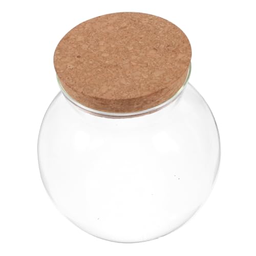 ROMISBABA WtKXۑr e  h [c LfB XibN  t [ Ɨp e Hi KX ȒP g