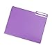 Blue Summit Supplies Plastic File Folders, 1/3 Cut Tab, Heavy Duty Multi Colored Poly Folders, Letter Size, 30 Pack