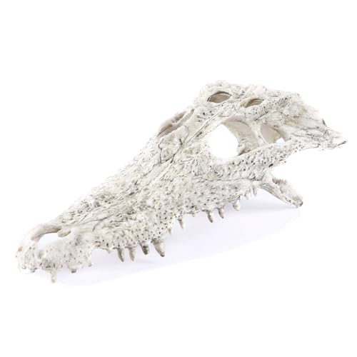 Image of Animal Skull Fish Aquarium Hideout Decorations Cave Dinosaur Reptile Ornament Halloween Decor for Terrarium Large Betta Decor Bones