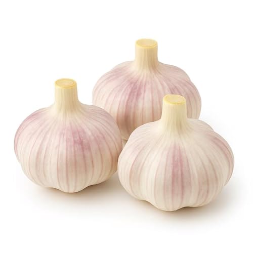 Garlic Bulbs for Planting (3 Pack) – Fresh Hardneck Seed Garlic, Non-GMO Heirloom Cloves for Growing, Gardening & Cooking