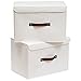 OUTBROS 2 Stück Aufbewahrungsboxen mit Deckel, 45 x 30 x 30 cm, faltbare Stoffboxen, Aufbewahrungskörbe, Organizer für Spielzeug, Kleidung, Bücher, weiß ST02WL2