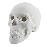 Myard Glaze Enamel Ceramic Fireproof Fire Skull Log for Gas or Wood Fireplace Fire Pit BBQ Campfire Bonfire Halloween Horror Decor Summer Camp Christmas (Qty 1, White)