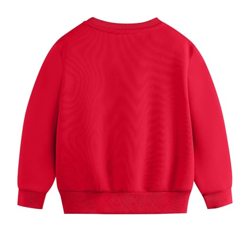 Toddler Girls Boys Warm Sherpa Sweatshirt Basic Crewneck Long Sleeve Loose T-Shirts Casual Pullover Tops for Kids 2-12 Years4