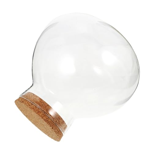 BESTonZON Botella ecológica Micro Paisaje Tarro de Planta Tarro hidropónico Mini Jarra de Decorativo de Jarra de de Esfera despejada Brote Corcho Transparente