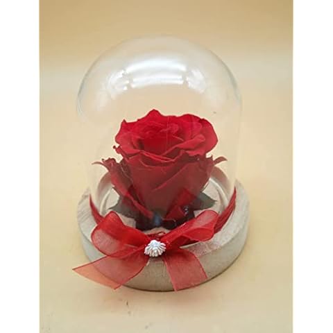 Rosa preservada roja en cúpula de cristal Cover